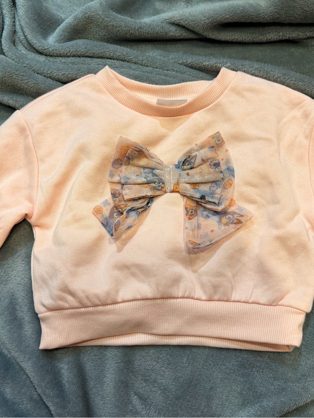 Bluey girl pink bow sweatshirt sz 12m nwt